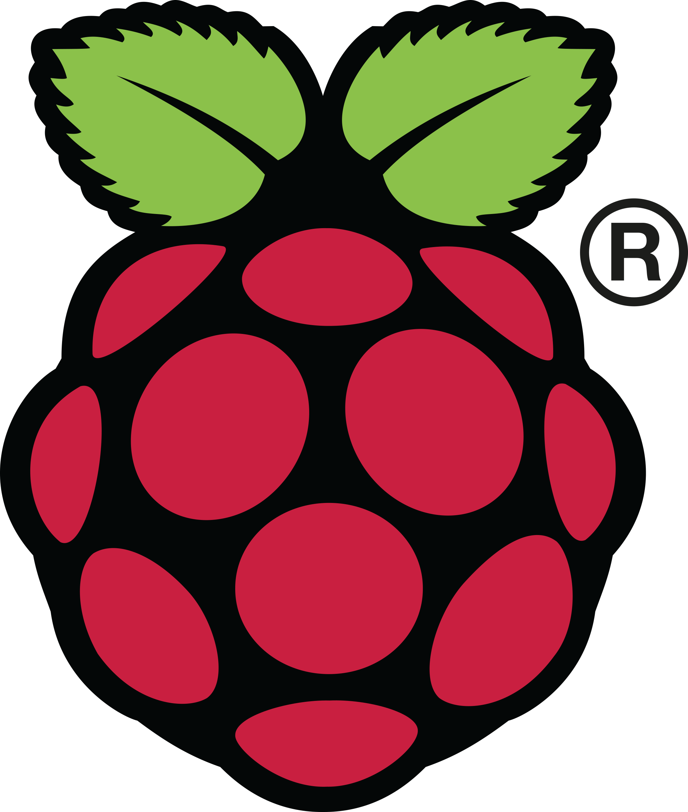 Raspberry Pi