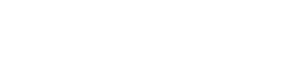 Texas Instruments